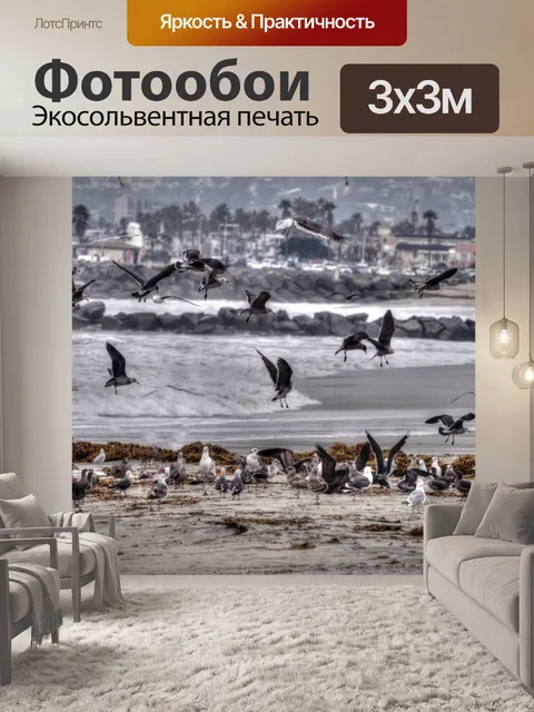 Фотообои Стая чаек