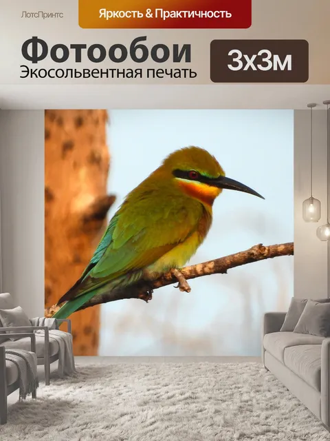 Фотообои Птица
