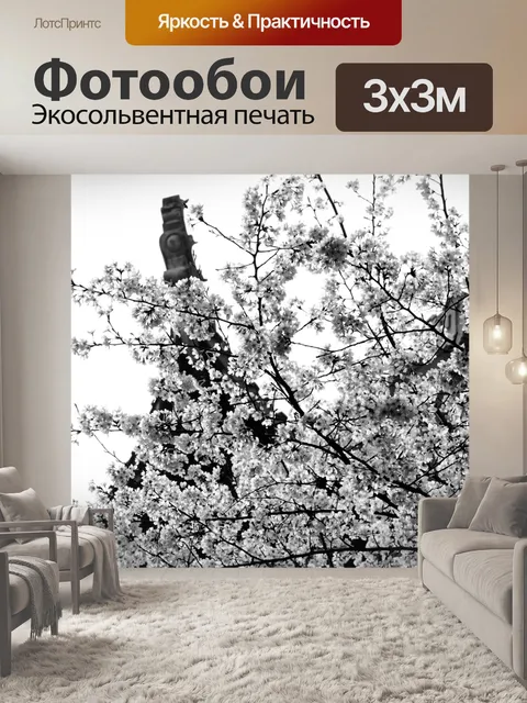 Фотообои Вишни в цвету