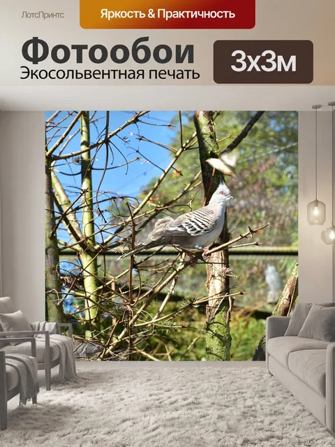 Фотообои Птица