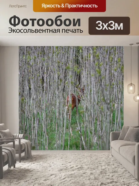 Фотообои Олень