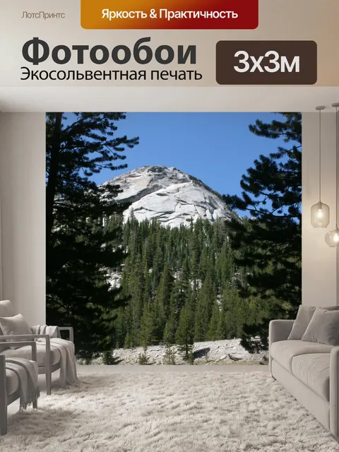 Фотообои Сосны