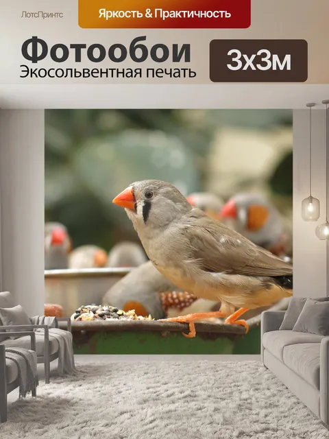 Фотообои Зяблик