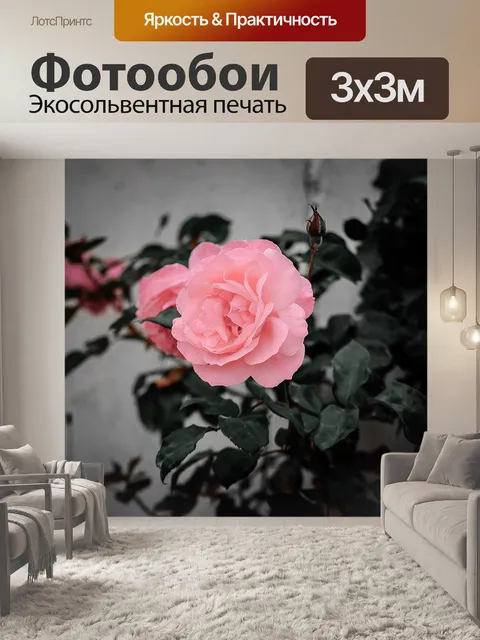 Фотообои Цветок