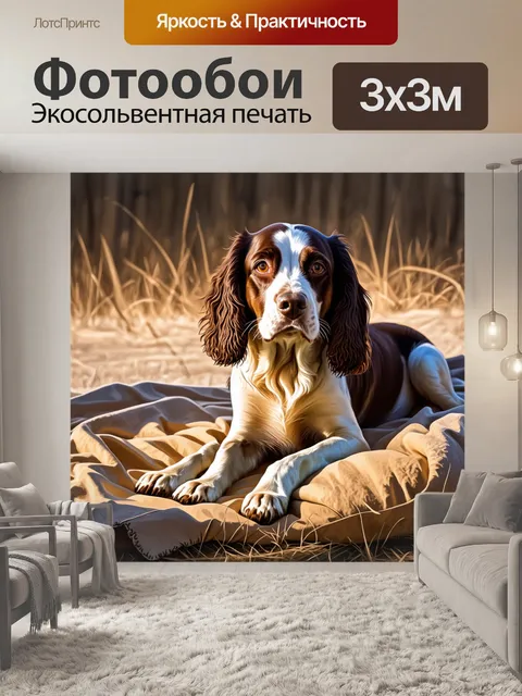 Фотообои изображение спокойного англиского спрингер спаниеля