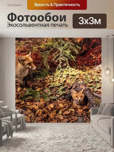 Фотообои Ноя