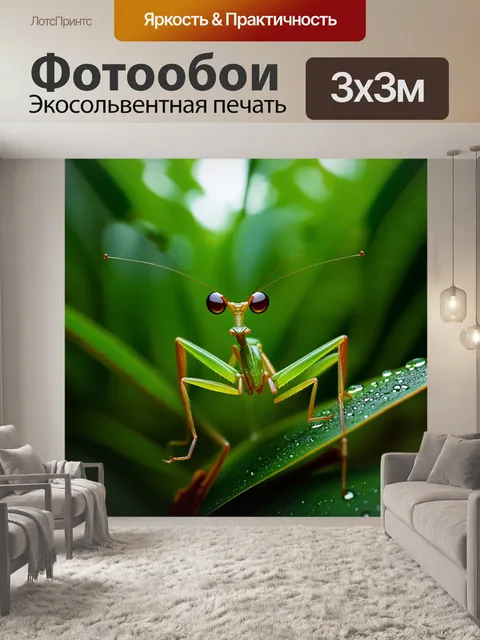 Фотообои макросъемка богомола, запечатленного на фоне влажного зелёного тропического леса