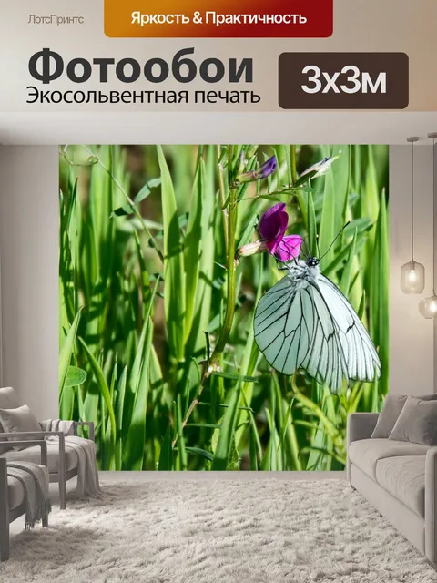 Фотообои Дерево белая бабочка