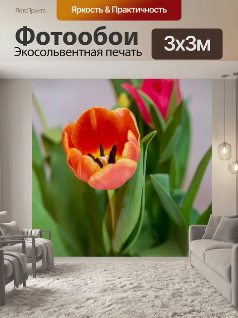 Фотообои Тюльпаны