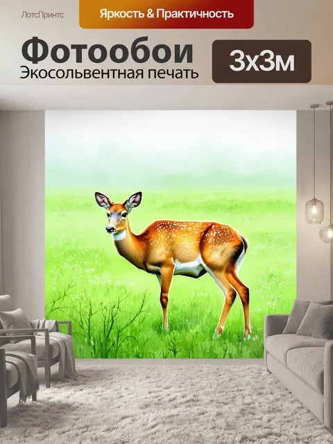Фотообои утро показывают оленя, мирно пасущегося на лугу, окутанном туманом