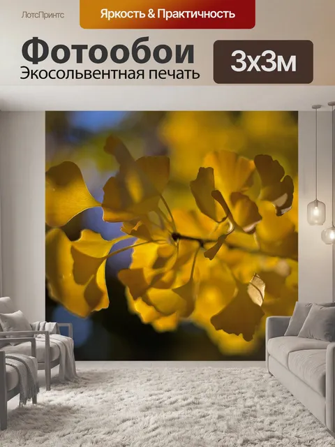 Фотообои Гинкго
