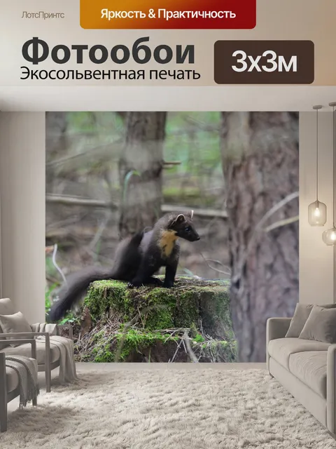 Фотообои Лес