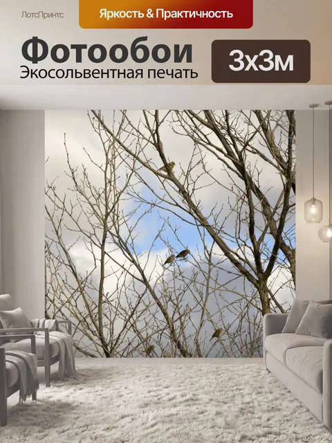 Фотообои Птицы в голое дерево