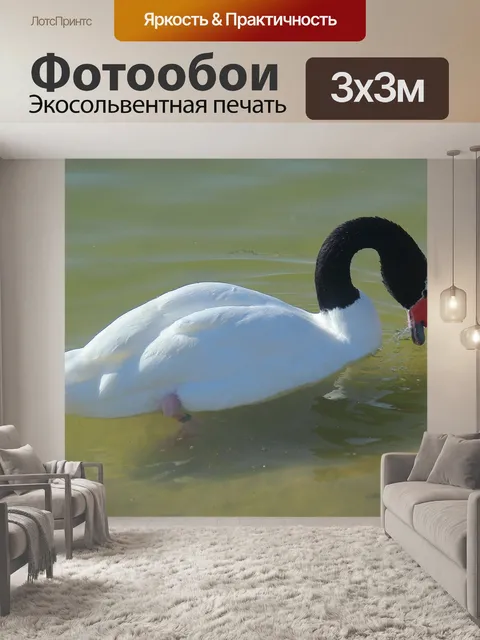 Фотообои Птица