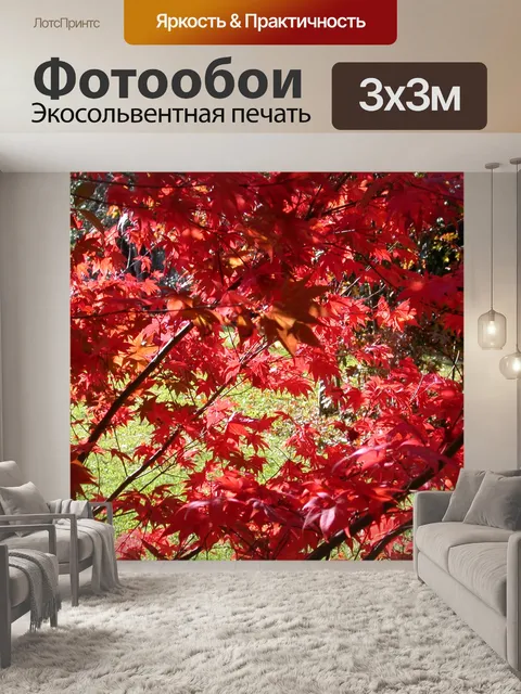 Фотообои Осенний фестиваль