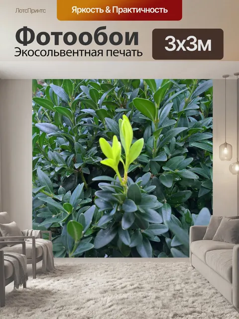 Фотообои Природа