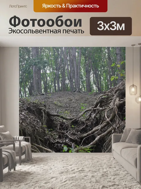 Фотообои Эрозия