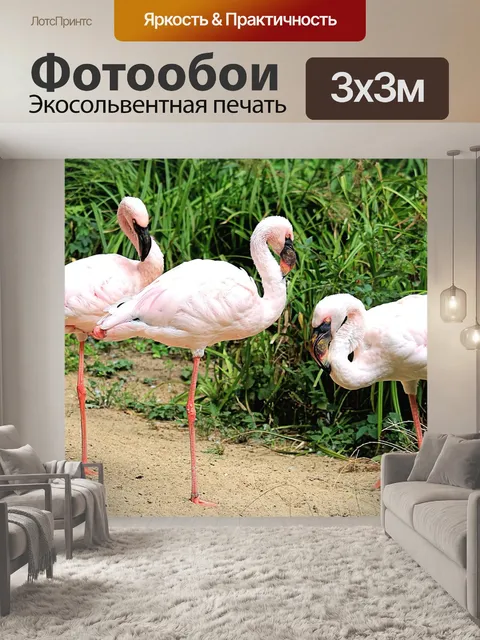 Фотообои Фламинго