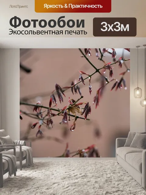 Фотообои Новые листья
