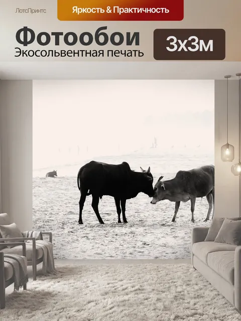 Фотообои Коровы