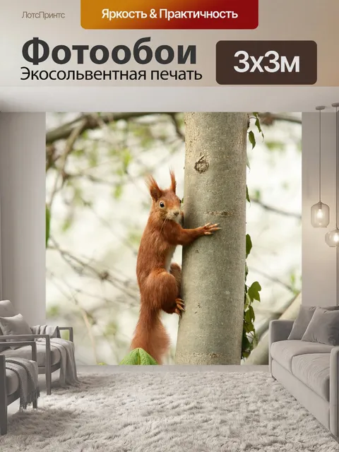Фотообои Природа