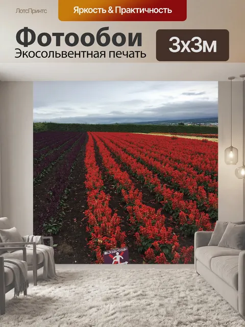 Фотообои К северу