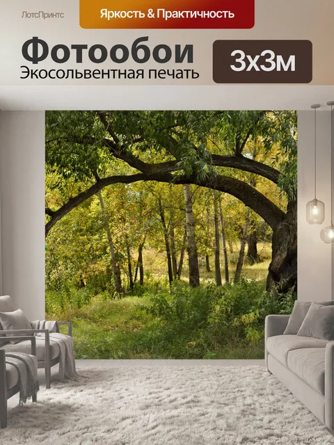 Фотообои Дерево