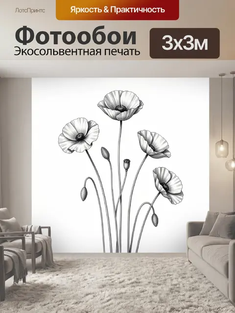 Фотообои Графичные маки с коробочками