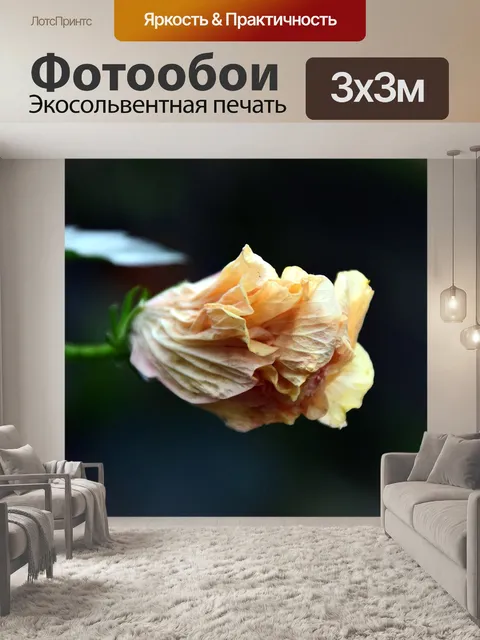 Фотообои Гибискус