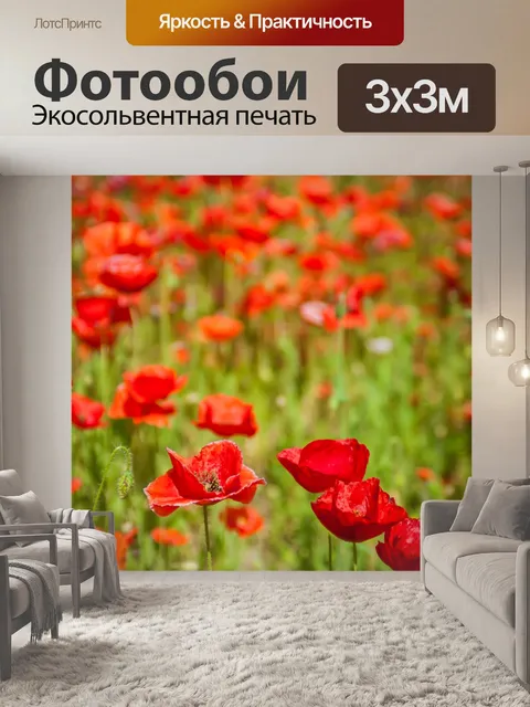 Фотообои Красное поле мака