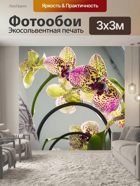 Фотообои Цветы