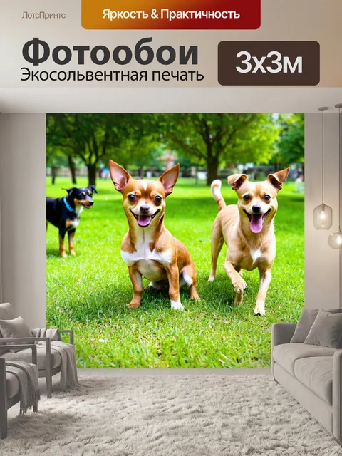 Фотообои чихуахуа, играющий с другими собаками в собачьем парке, все они счастливы и игривы, вокруг зеленеет трава и…