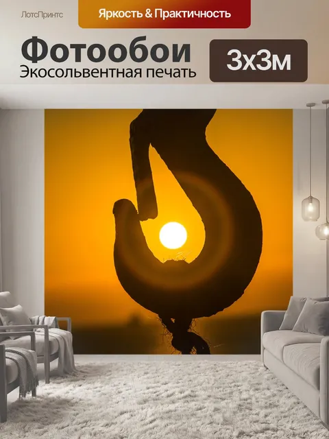 Фотообои Солнце