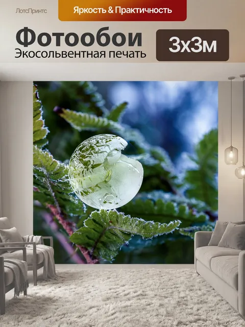 Фотообои Пузырь