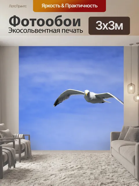 Фотообои Птицы