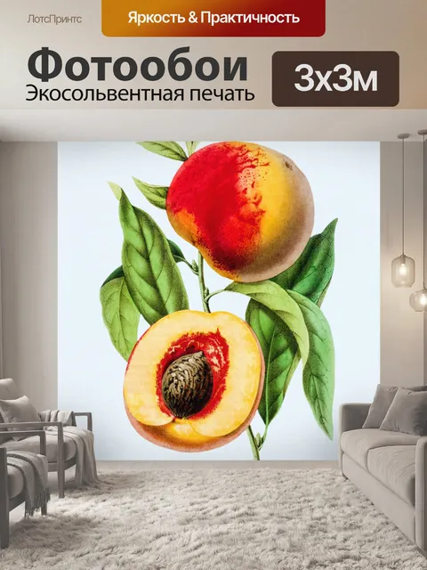 Фотообои Персик винтажное искусство иллюстрации