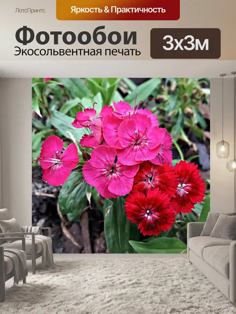 Фотообои Цветы