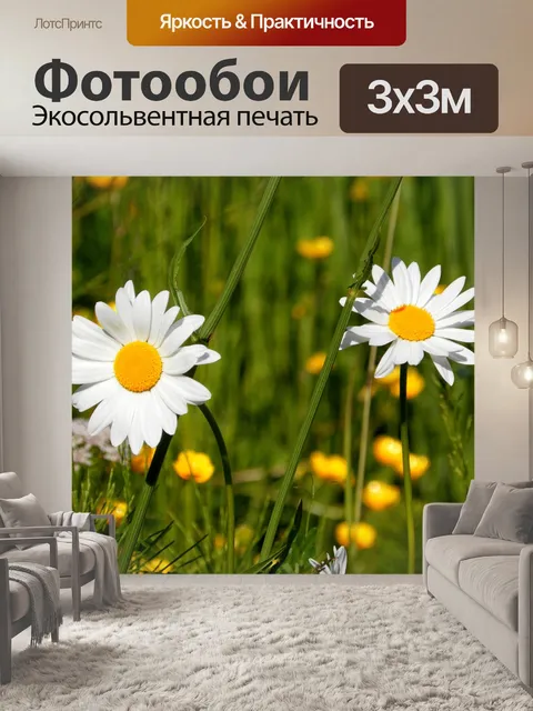 Фотообои Маргаритки