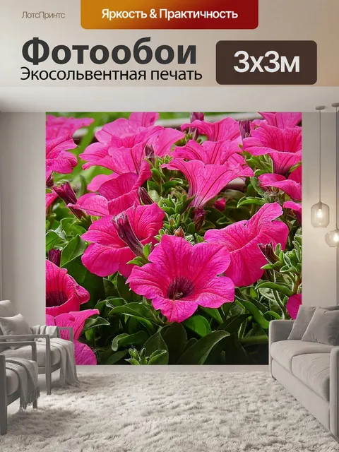 Фотообои Цветы