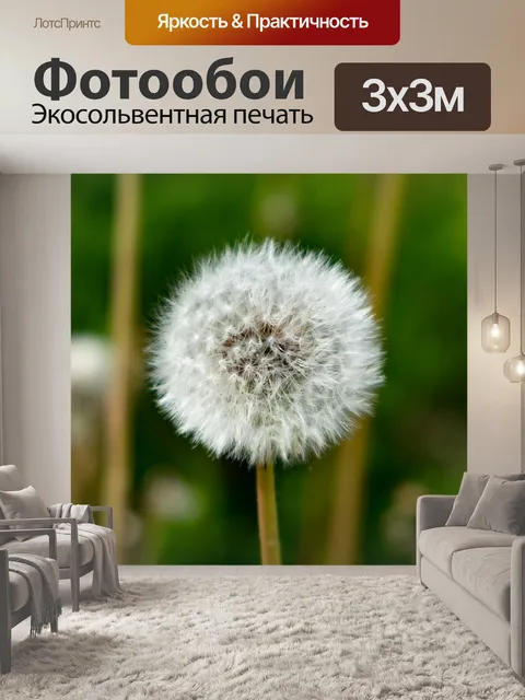 Фотообои Осот огородный