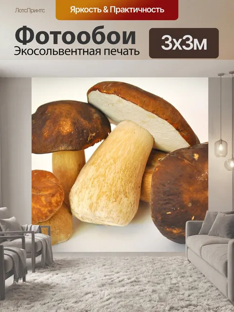 Фотообои Гриб