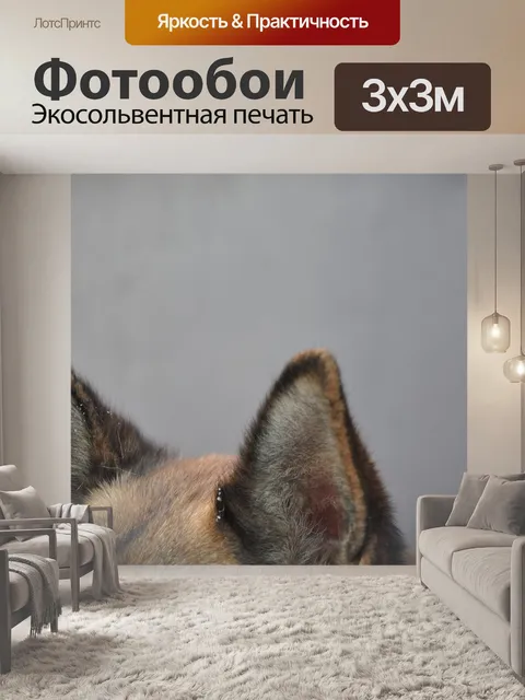Фотообои Собака
