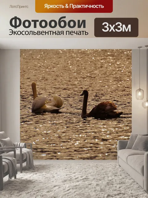 Фотообои Лебеди