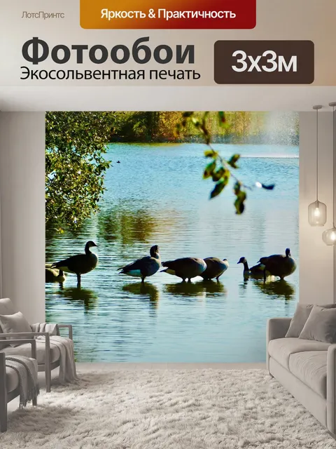 Фотообои Птицы
