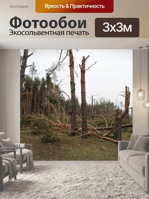 Фотообои Дерево