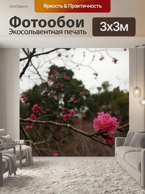 Фотообои Цветение вишни