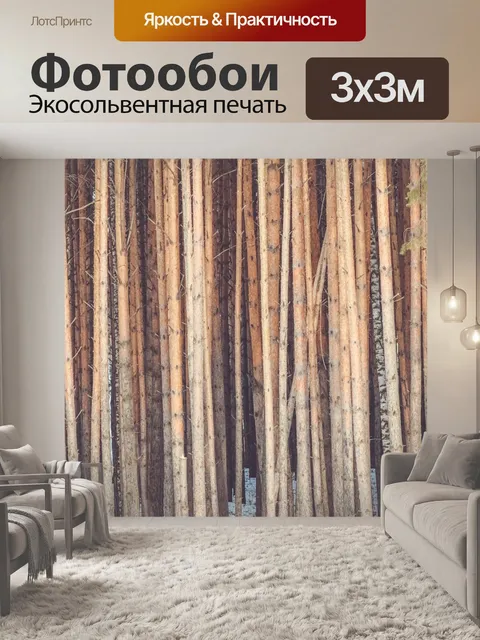 Фотообои Лес