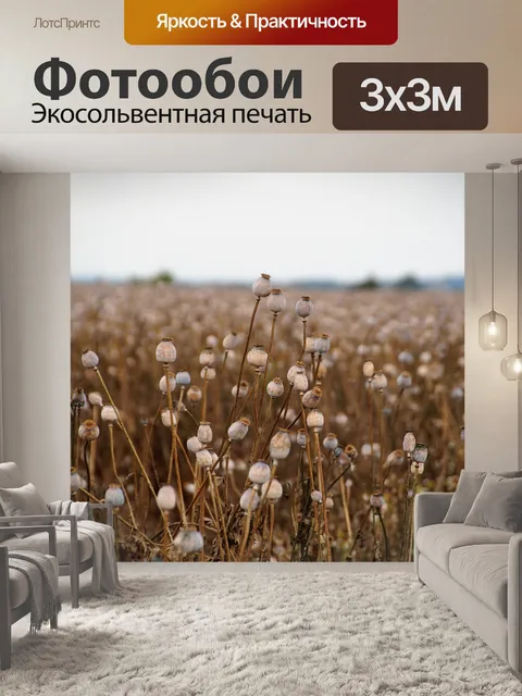 Фотообои Мак