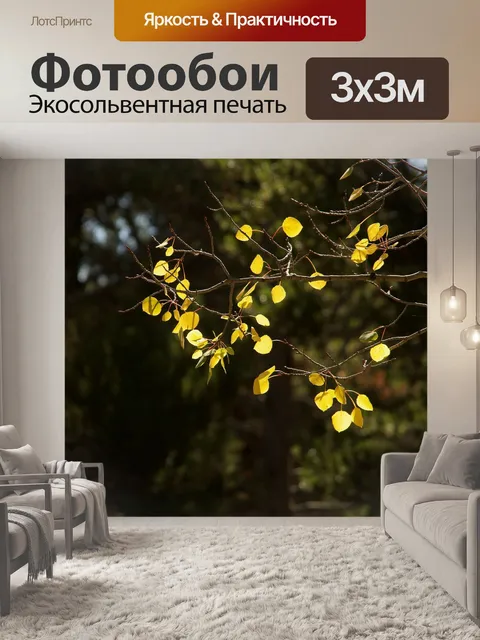 Фотообои Листья