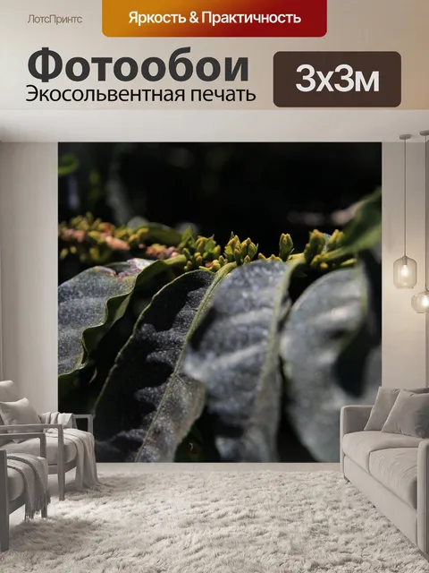 Фотообои Кофейный Завод Коста-Рика